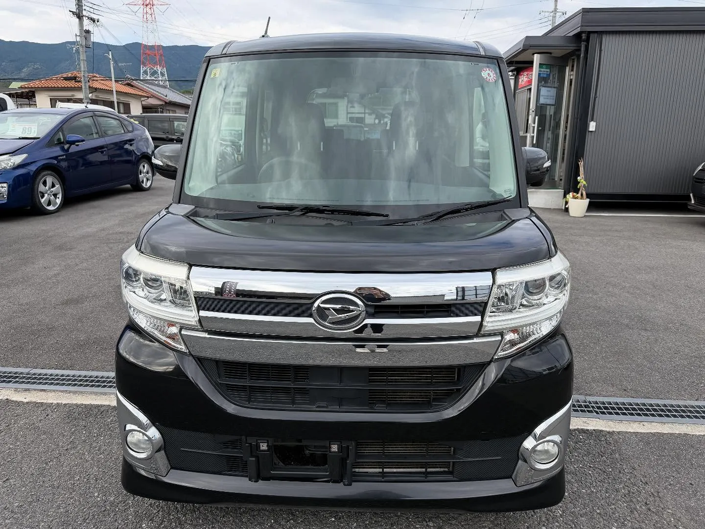 ────────────────────────