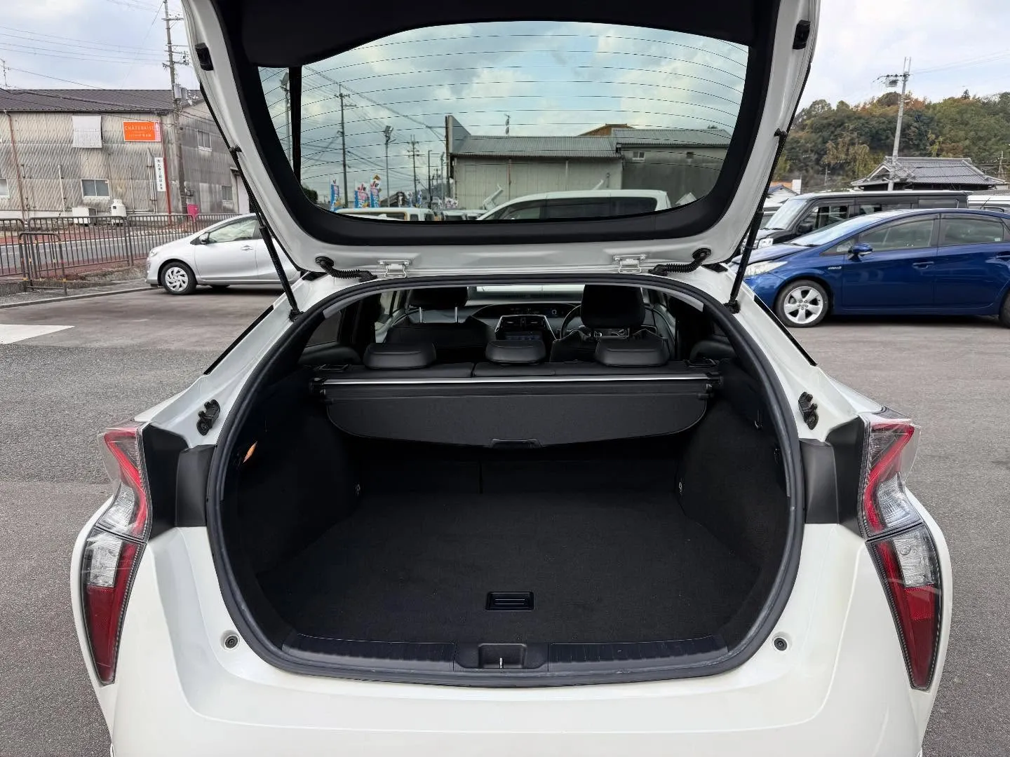 ────────────────────────