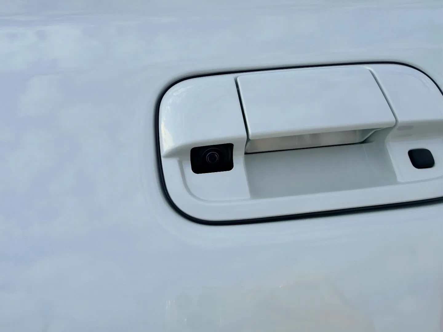 ────────────────────────