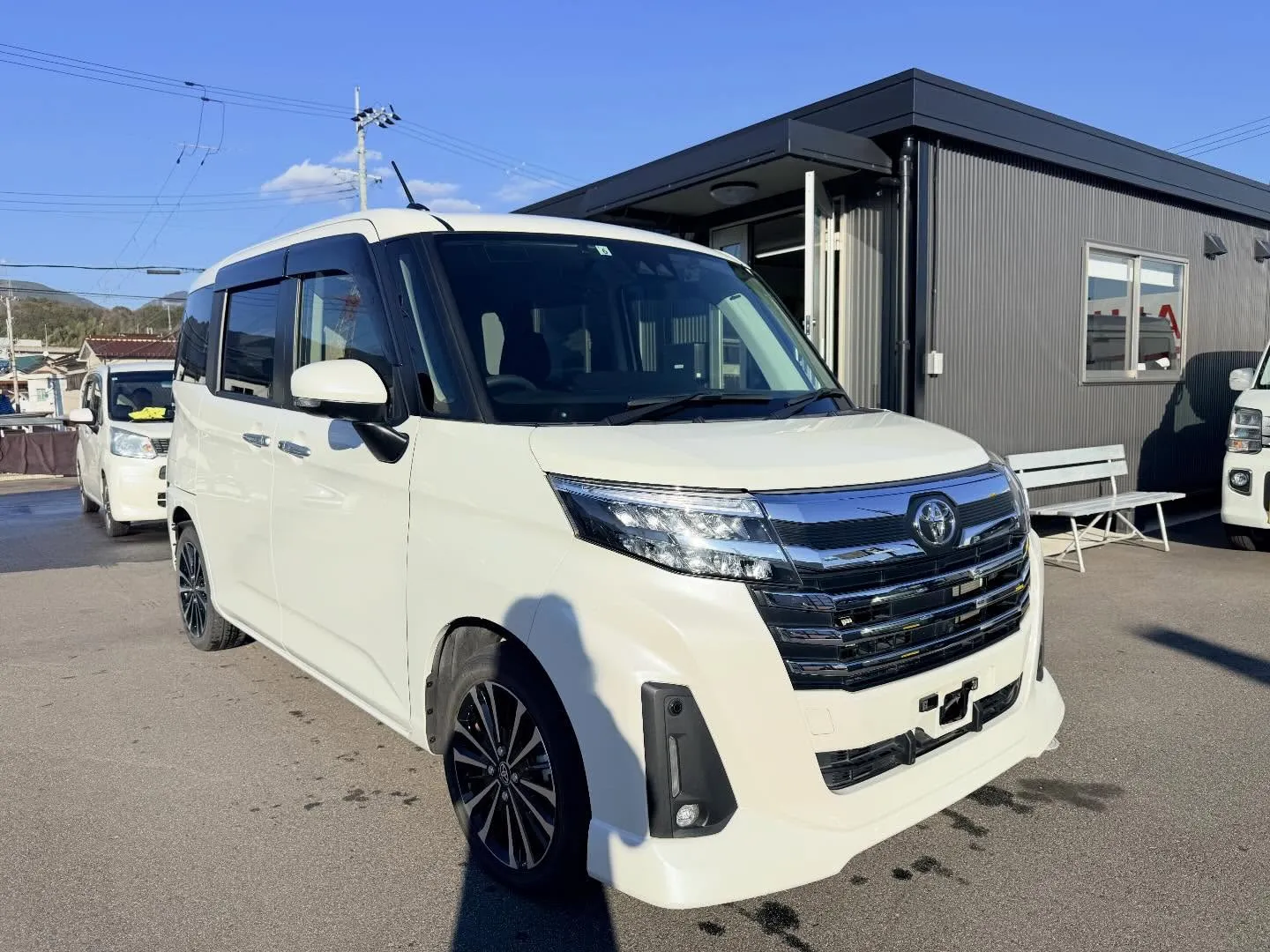 ────────────────────────