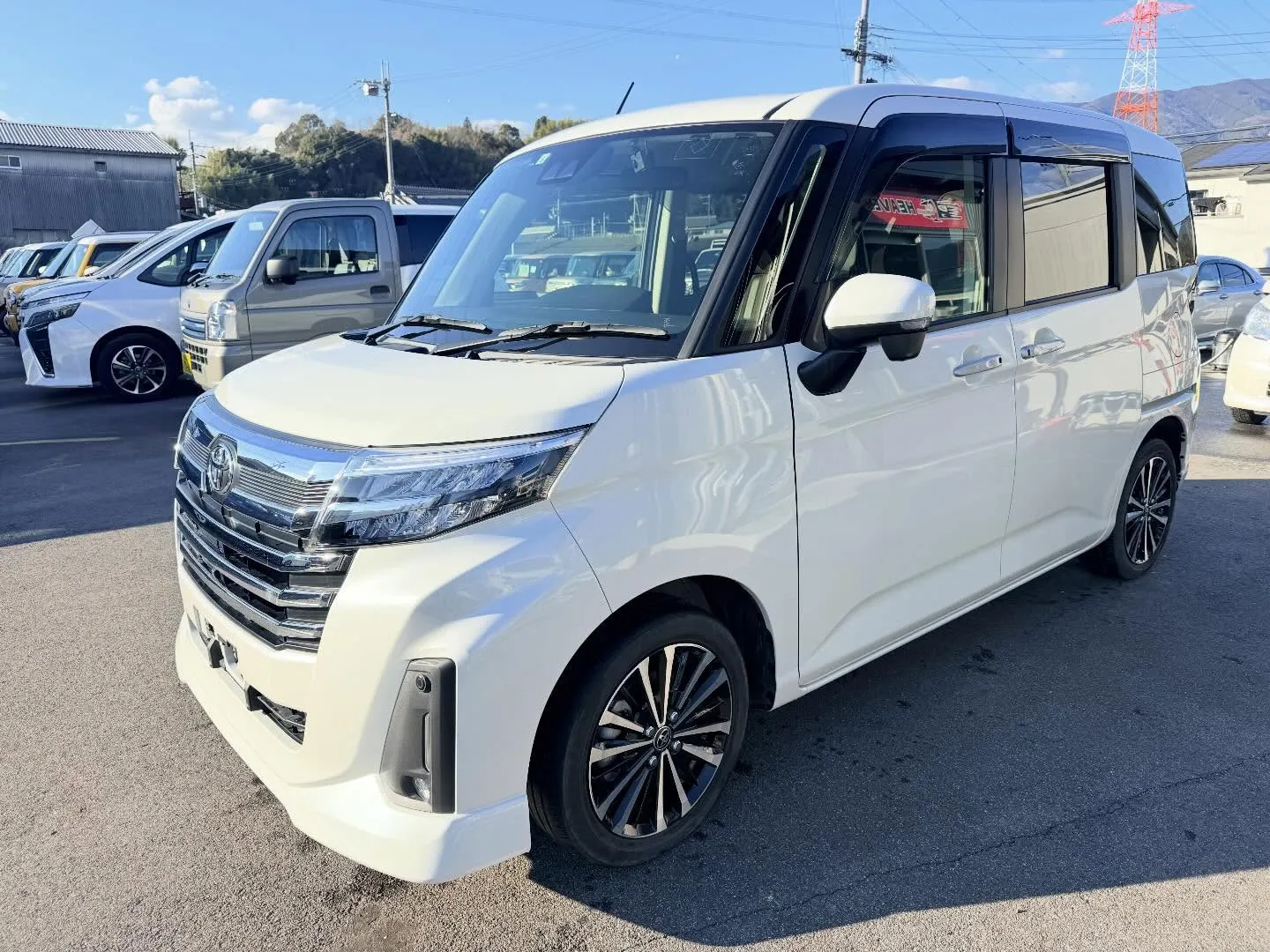 ────────────────────────