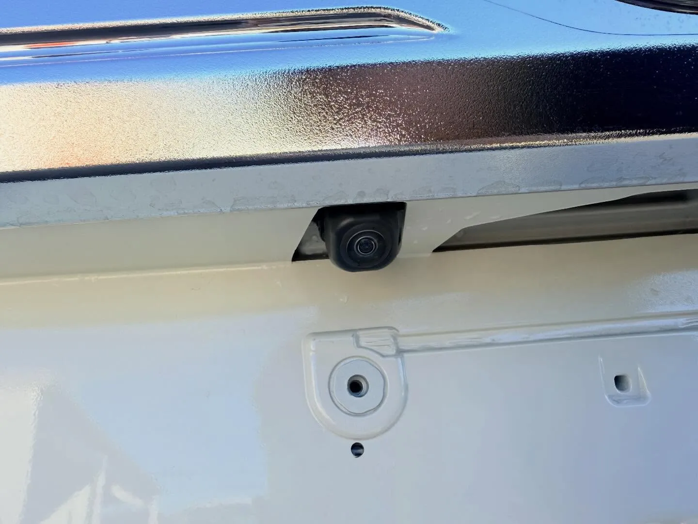 ────────────────────────