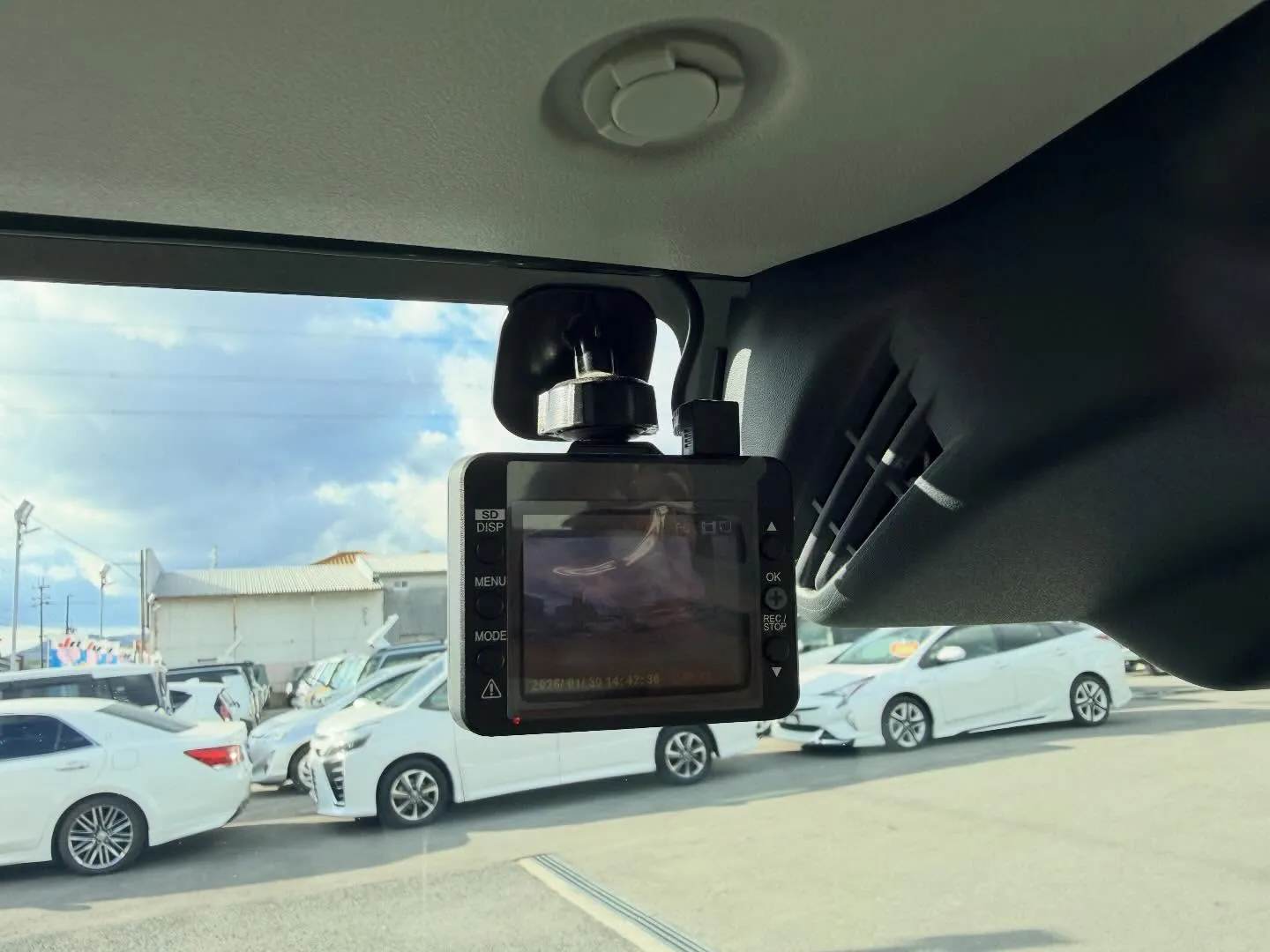 ────────────────────────