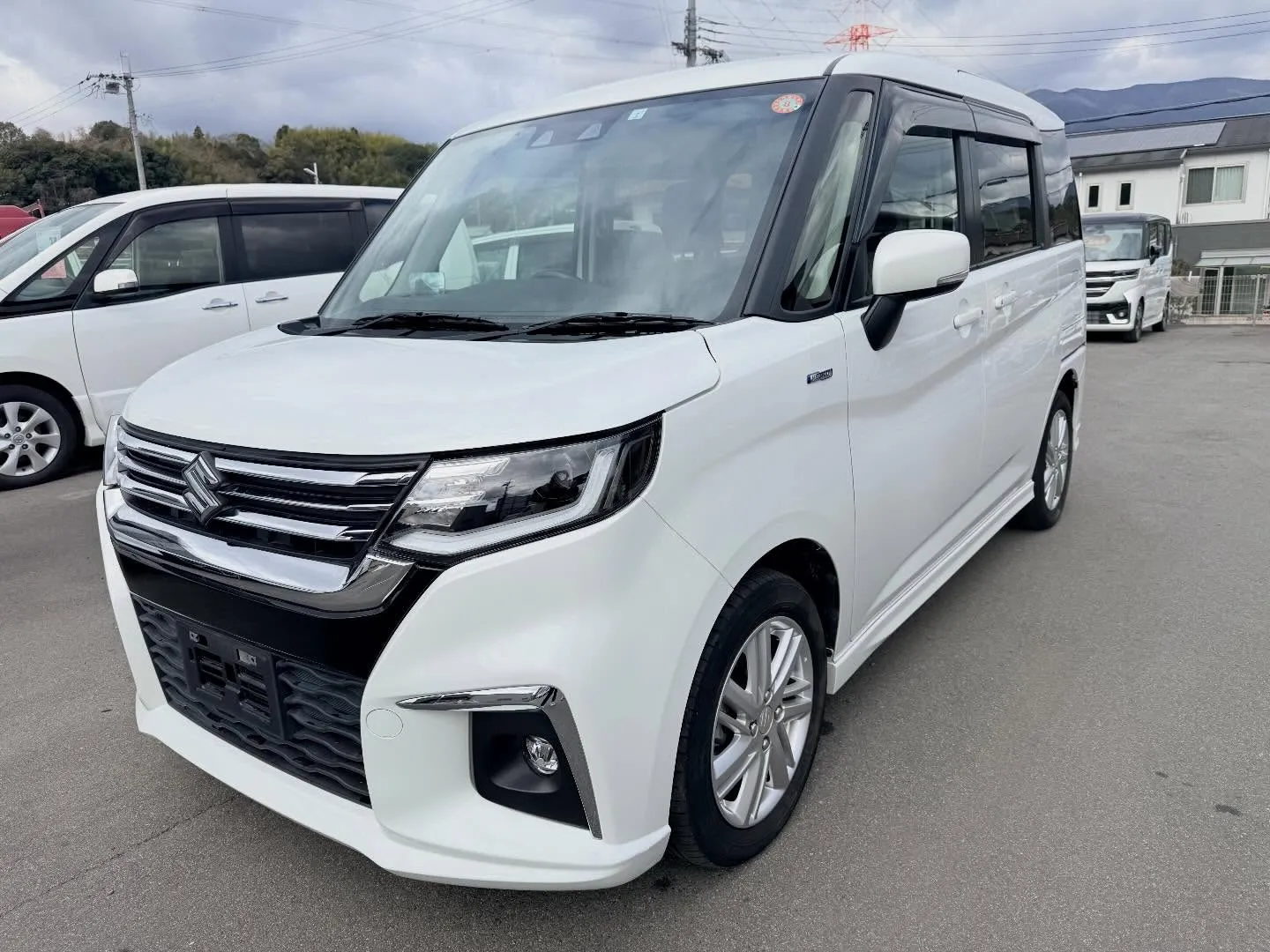 ────────────────────────