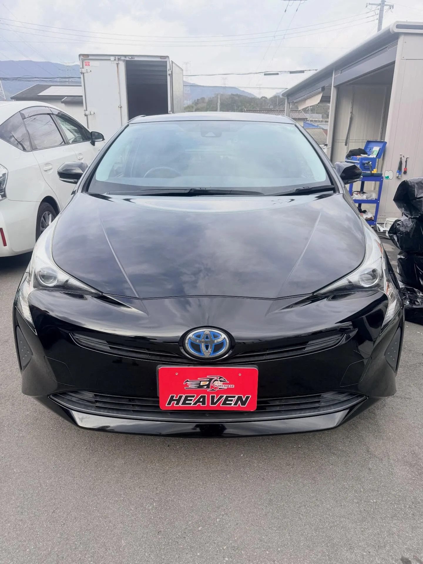 ────────────────────────✩.*˚ 