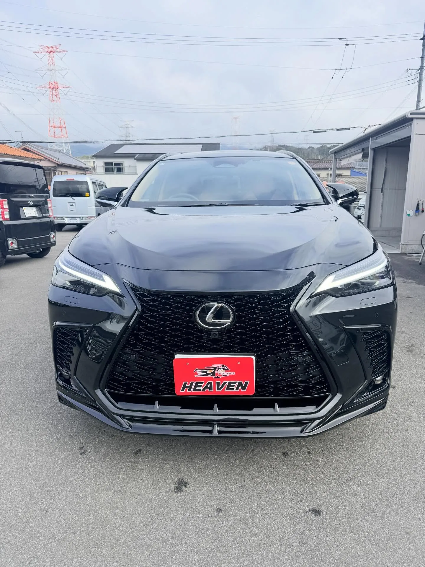 ────────────────────────✩.*˚ 