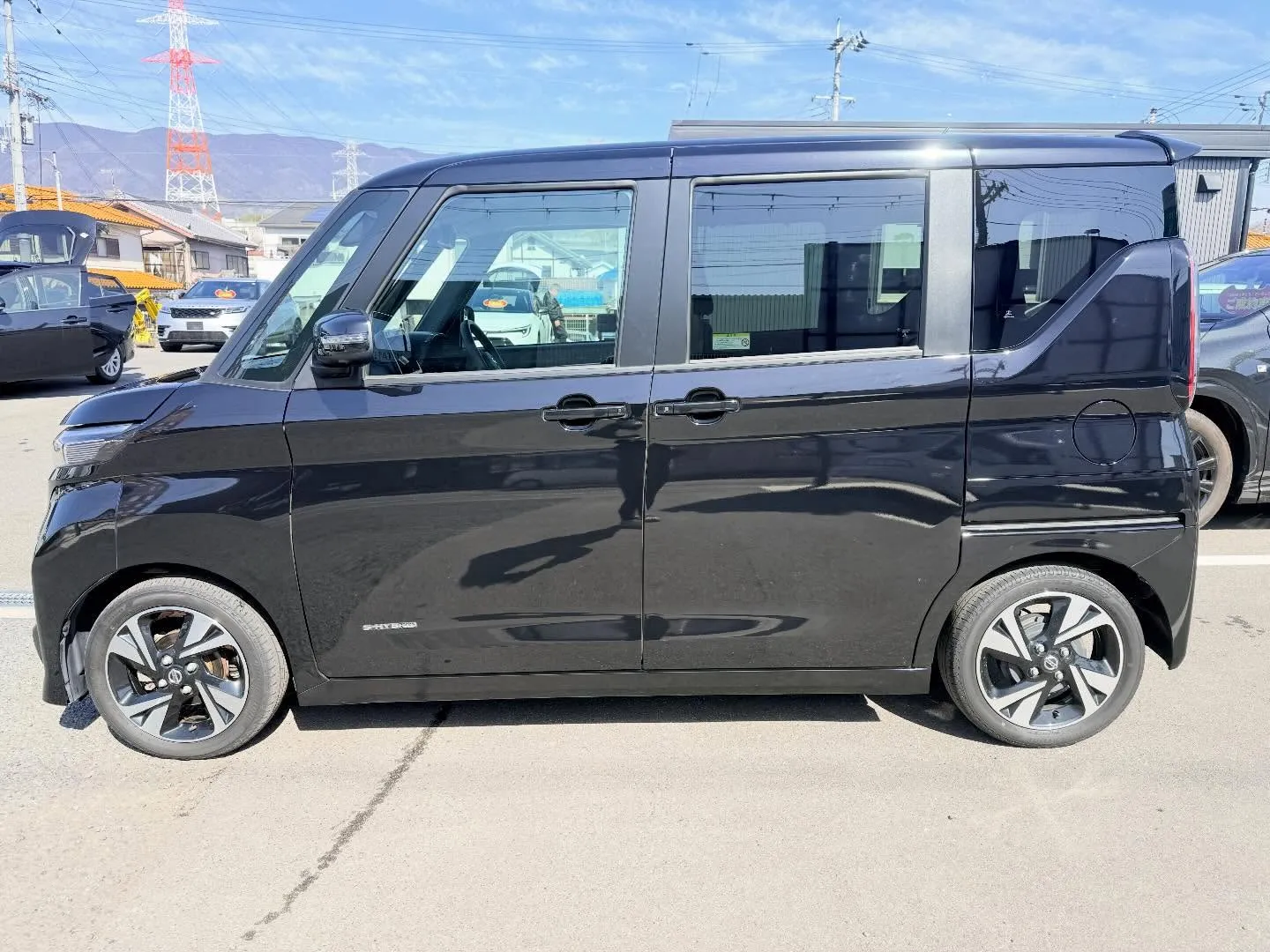 ────────────────────────