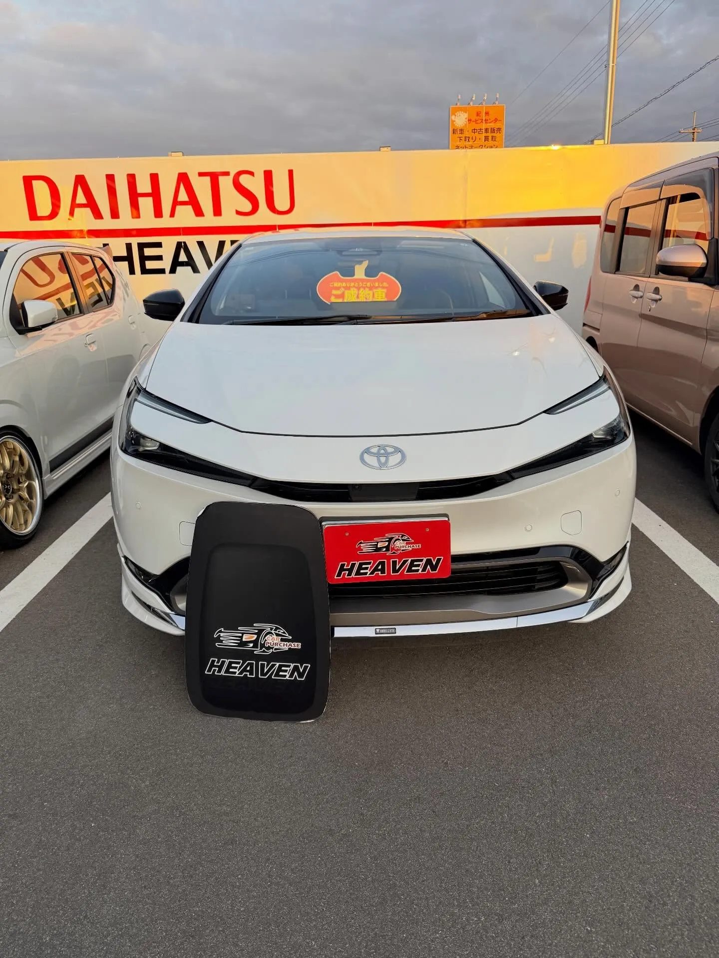 ────────────────────────✩.*˚