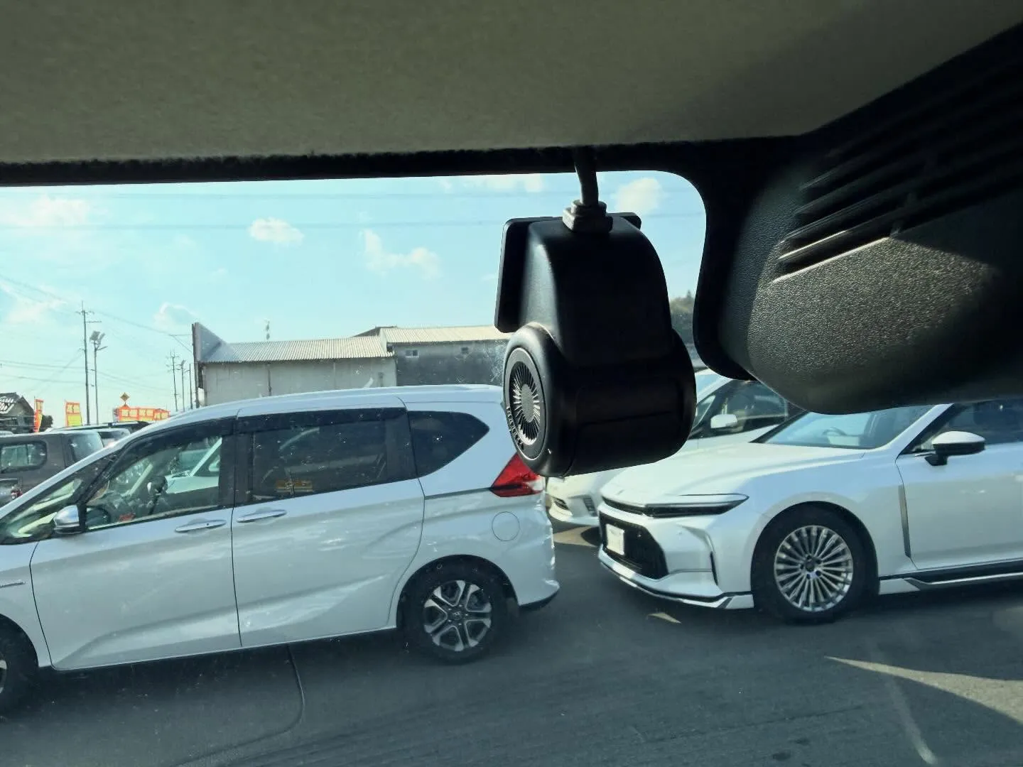 ────────────────────────