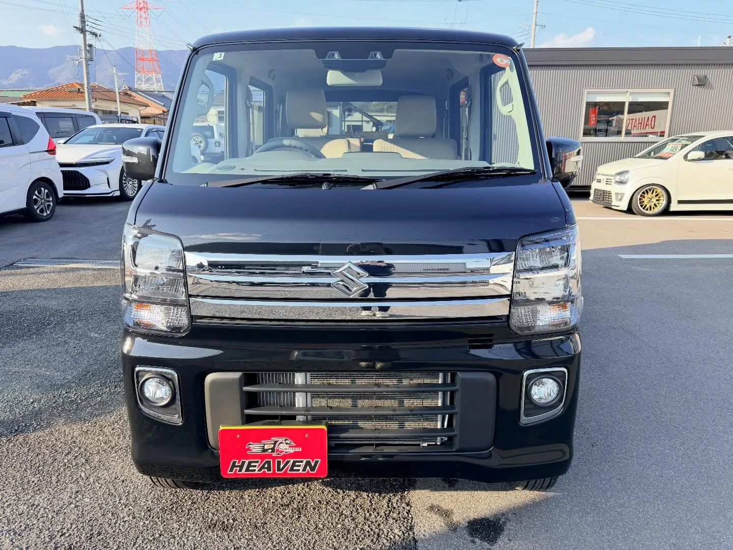 ────────────────────────