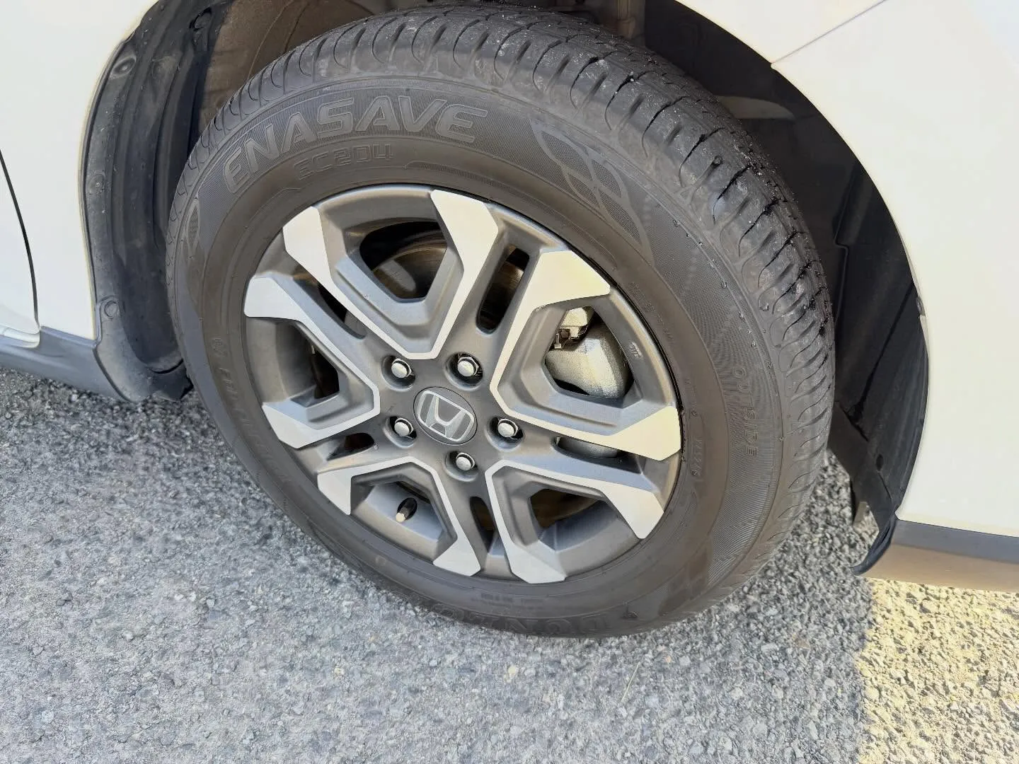 ────────────────────────